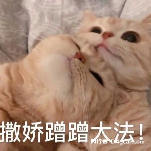 颜靓-风行者社区